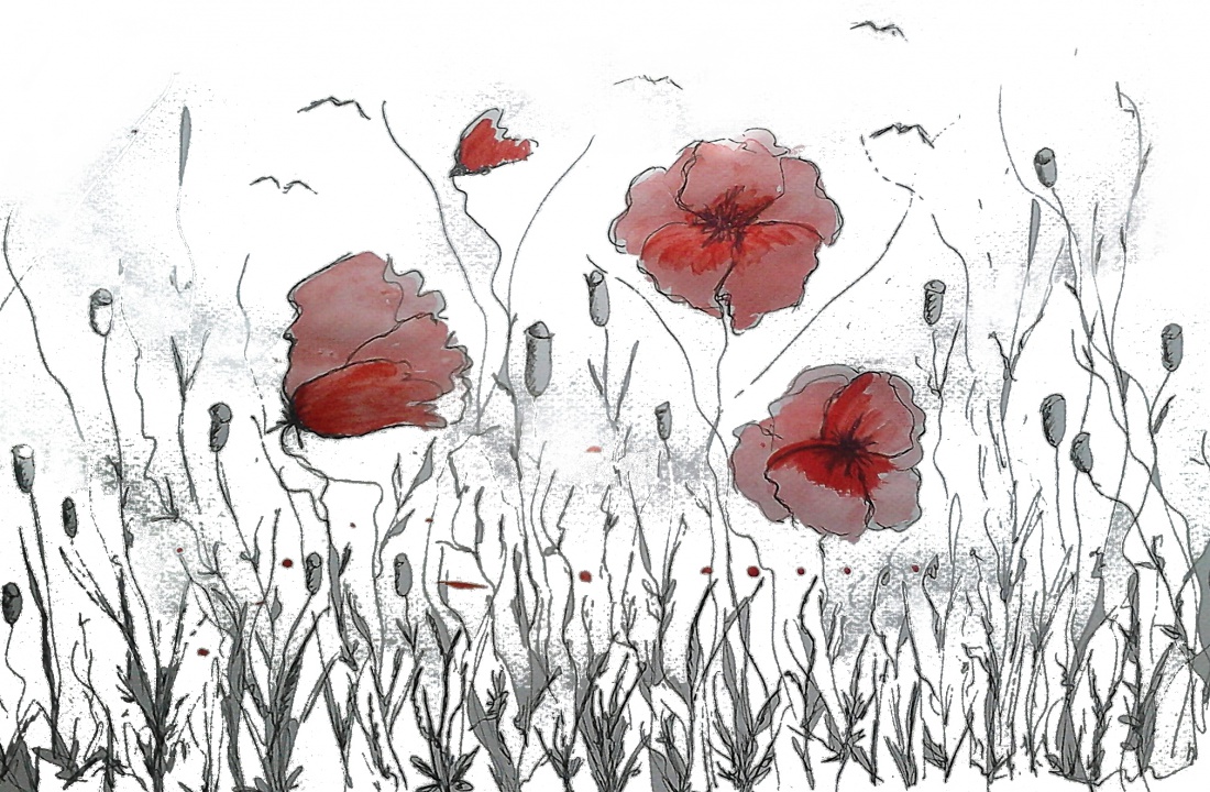 łączka dla zajączka