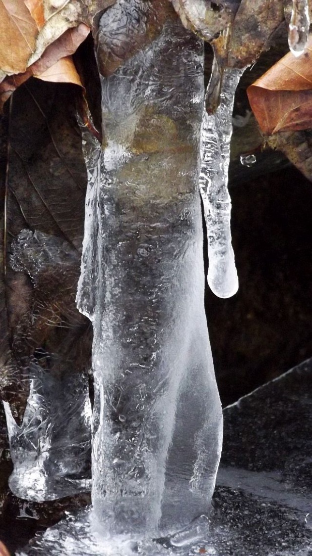 nie oglądaj się za siebie