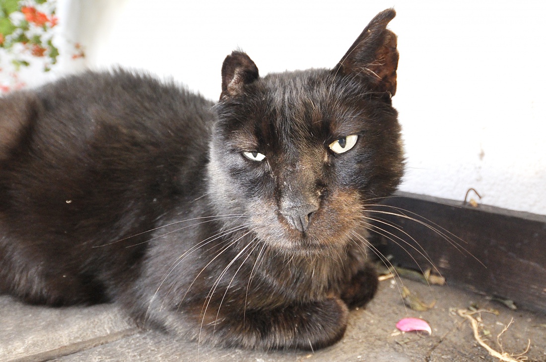 Gdy wie się już prawie wszystko....