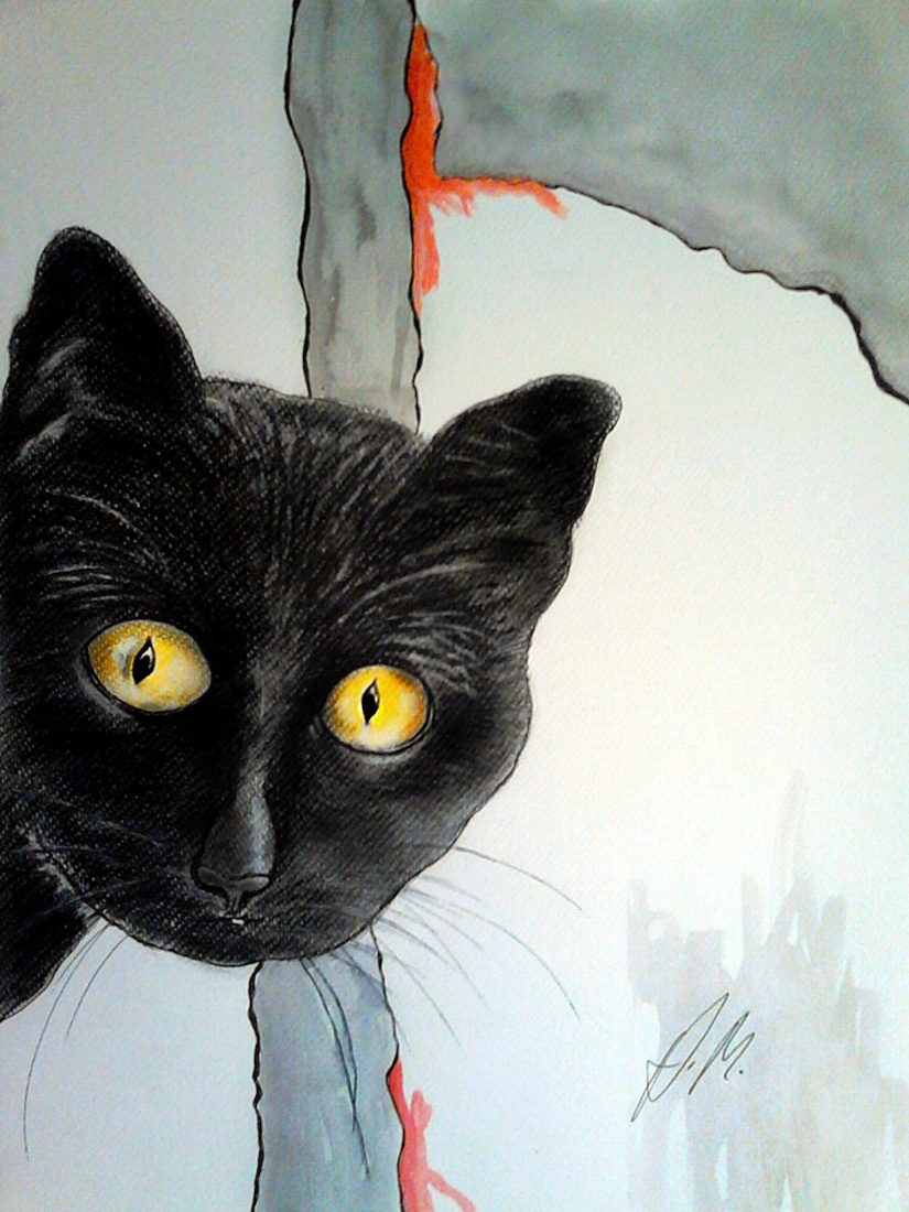 Czarny Kot Do Całowania