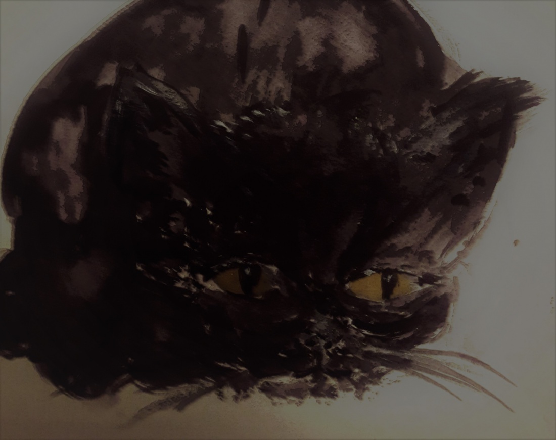 Dzień Czarnego Kota