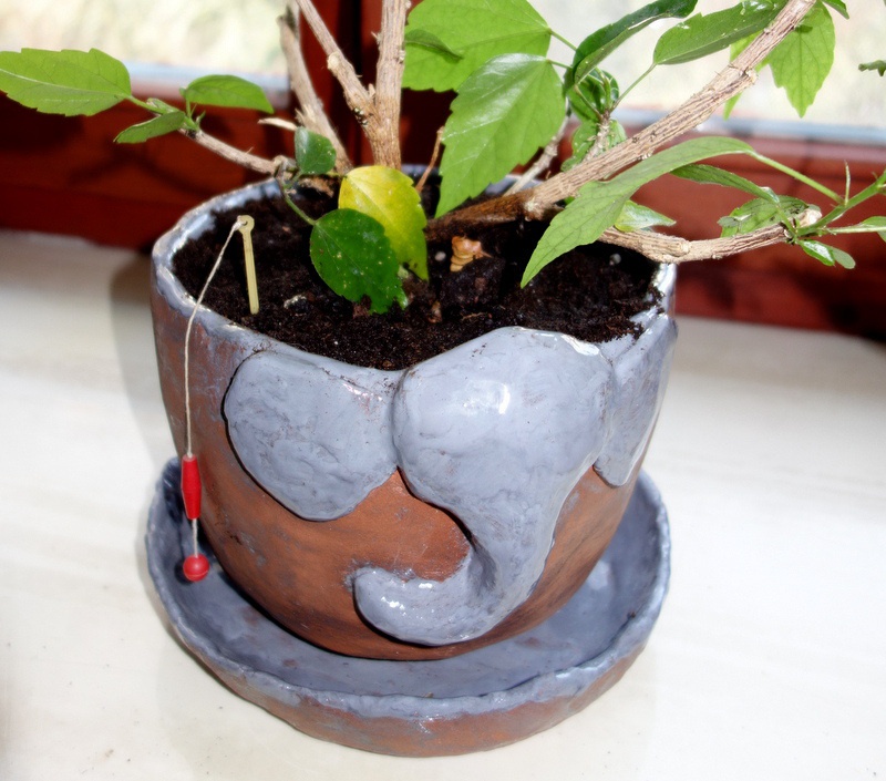 doniczka ze zwierzątkiem