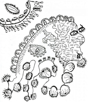 Kraina Oczu IV