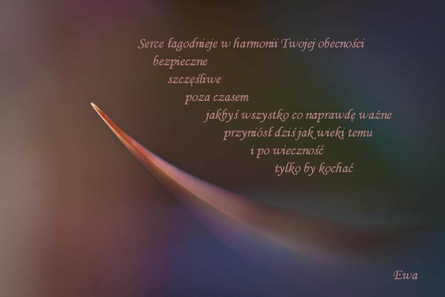 Niezmiennie od lat...