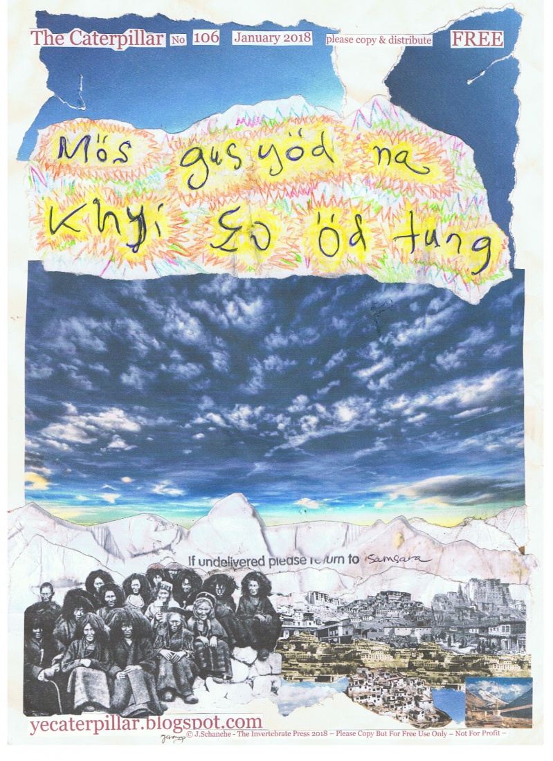 A Dog-s Tooth Emits Light