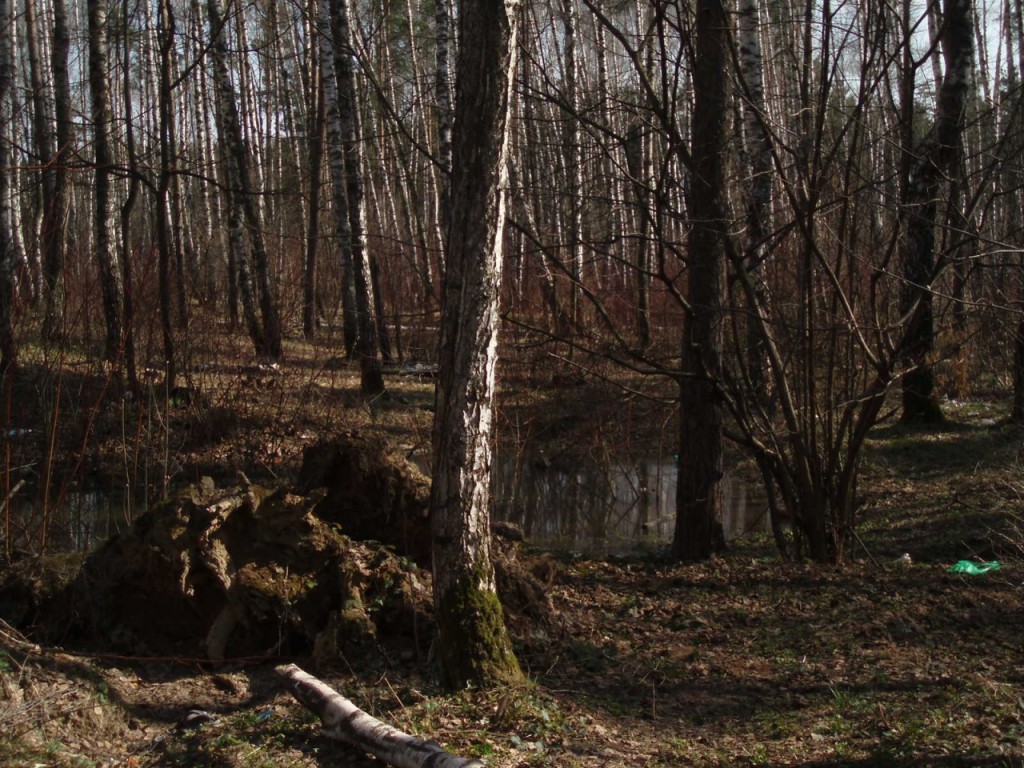 Moja okolica