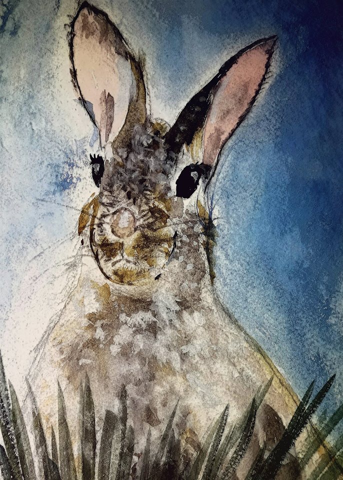 Niech pasą się zające:)