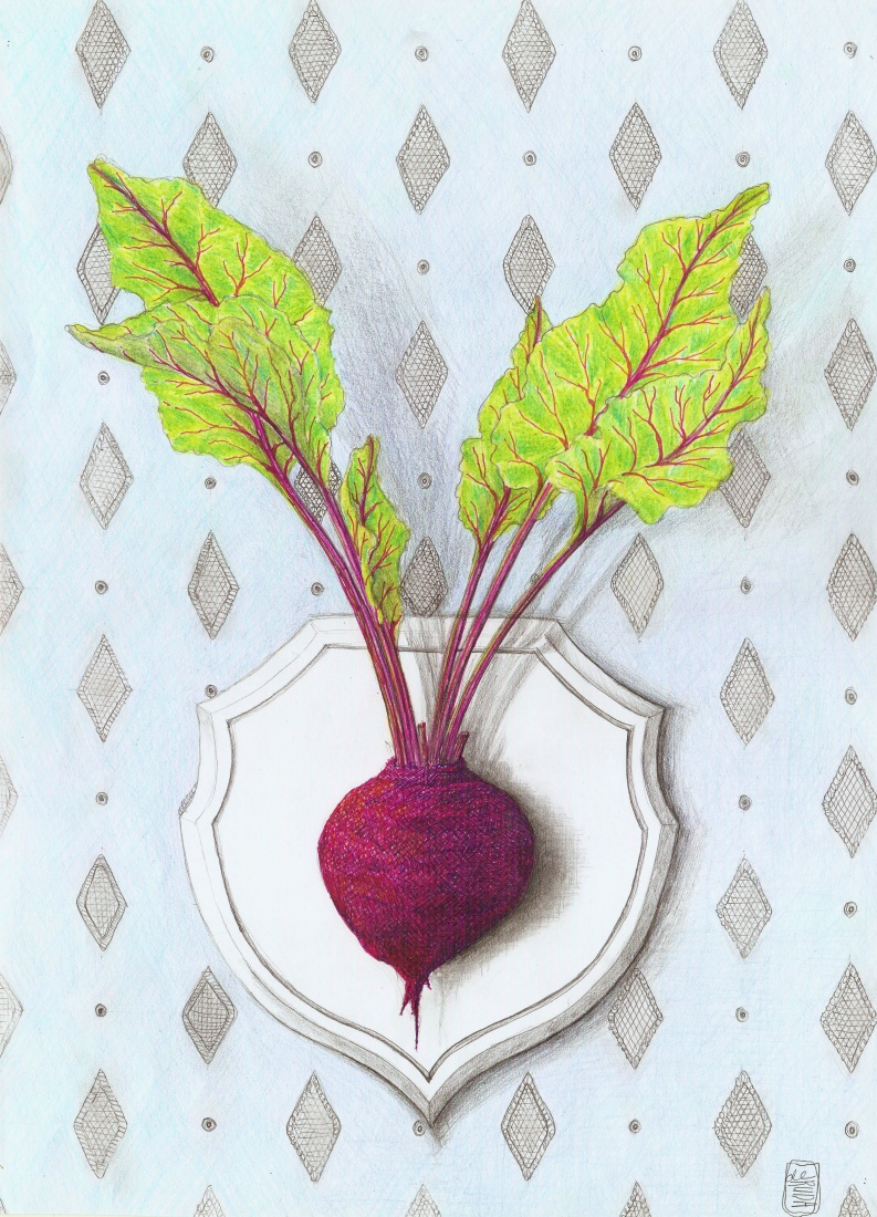 Imponderabilia 1 Beta vulgaris