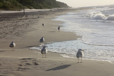 plażowiczki