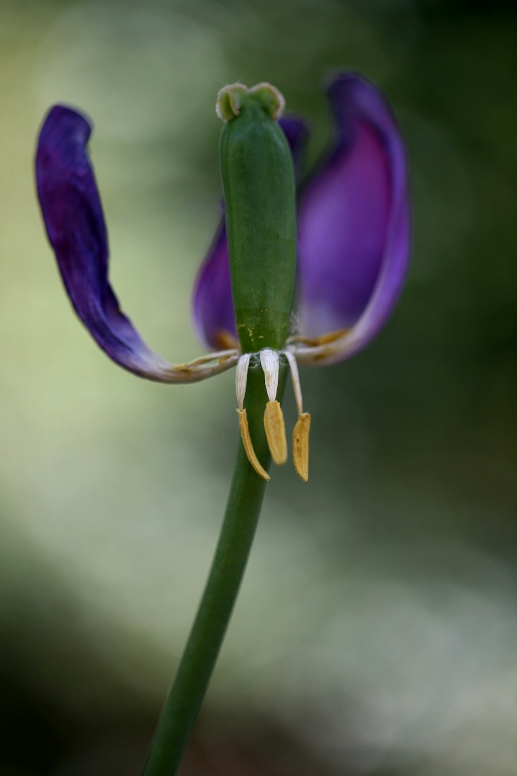 już po wszystkim...