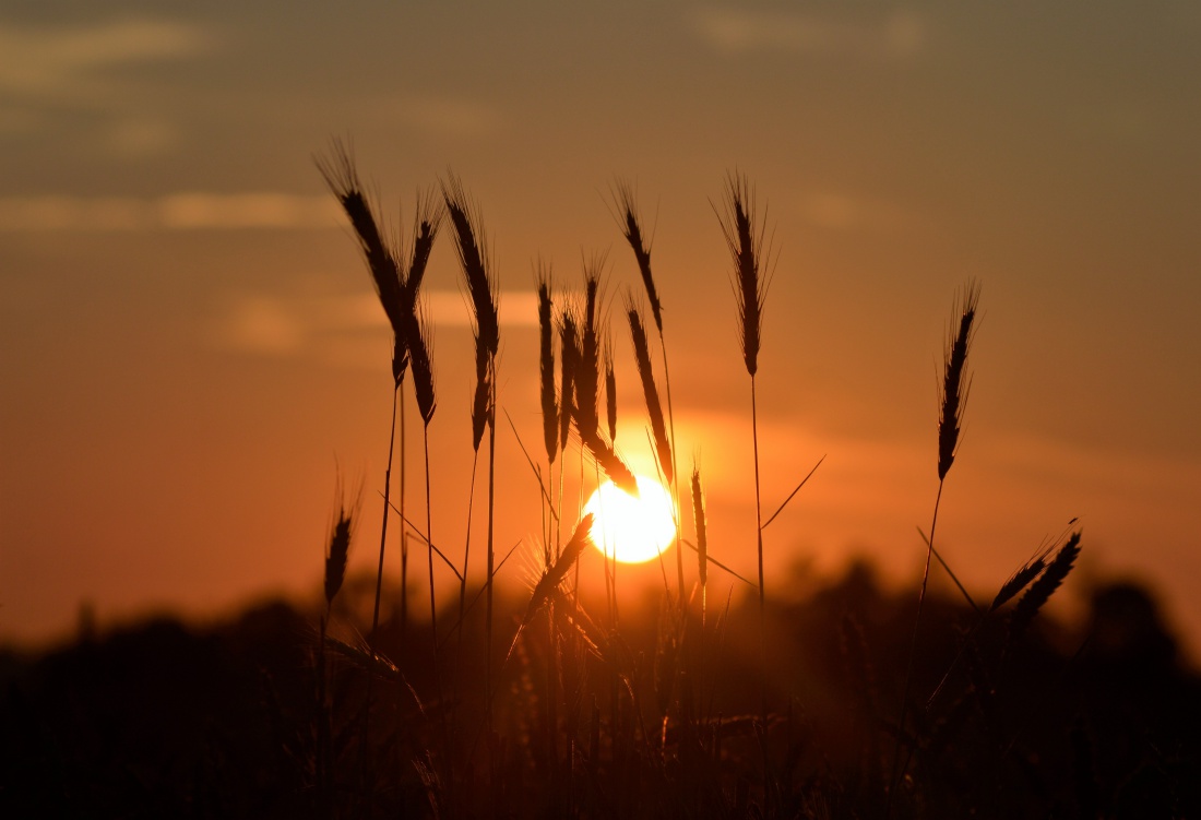 dobranoc, słońce...