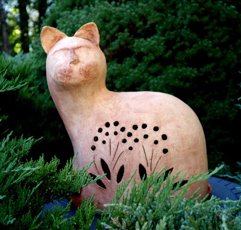 kot w kolorze (i w plenerze)