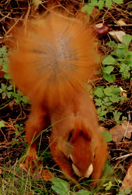 aby ocieplić atmosferę ;)