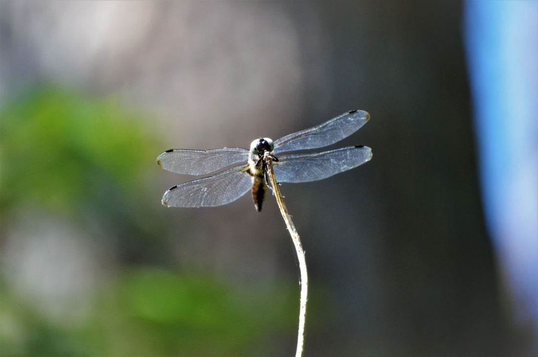 sprawy ważkie i nieważkie