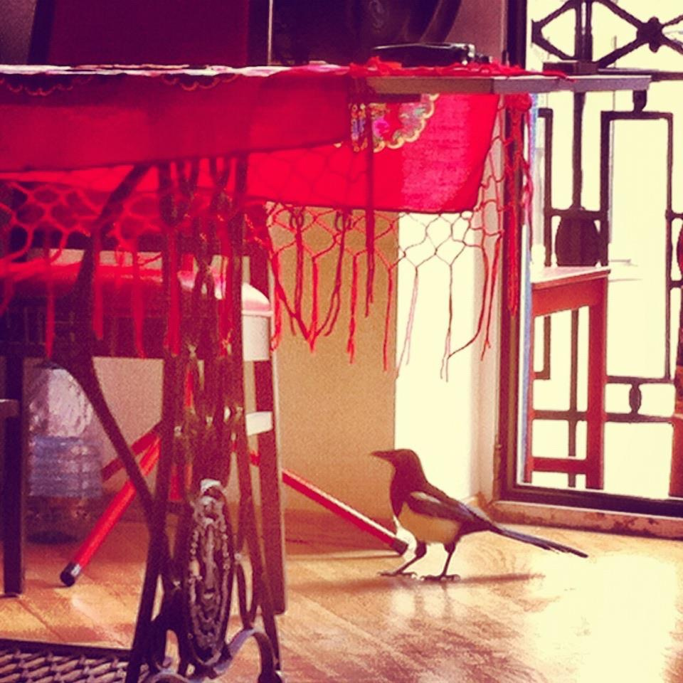 Odwiedziny w czerwieni