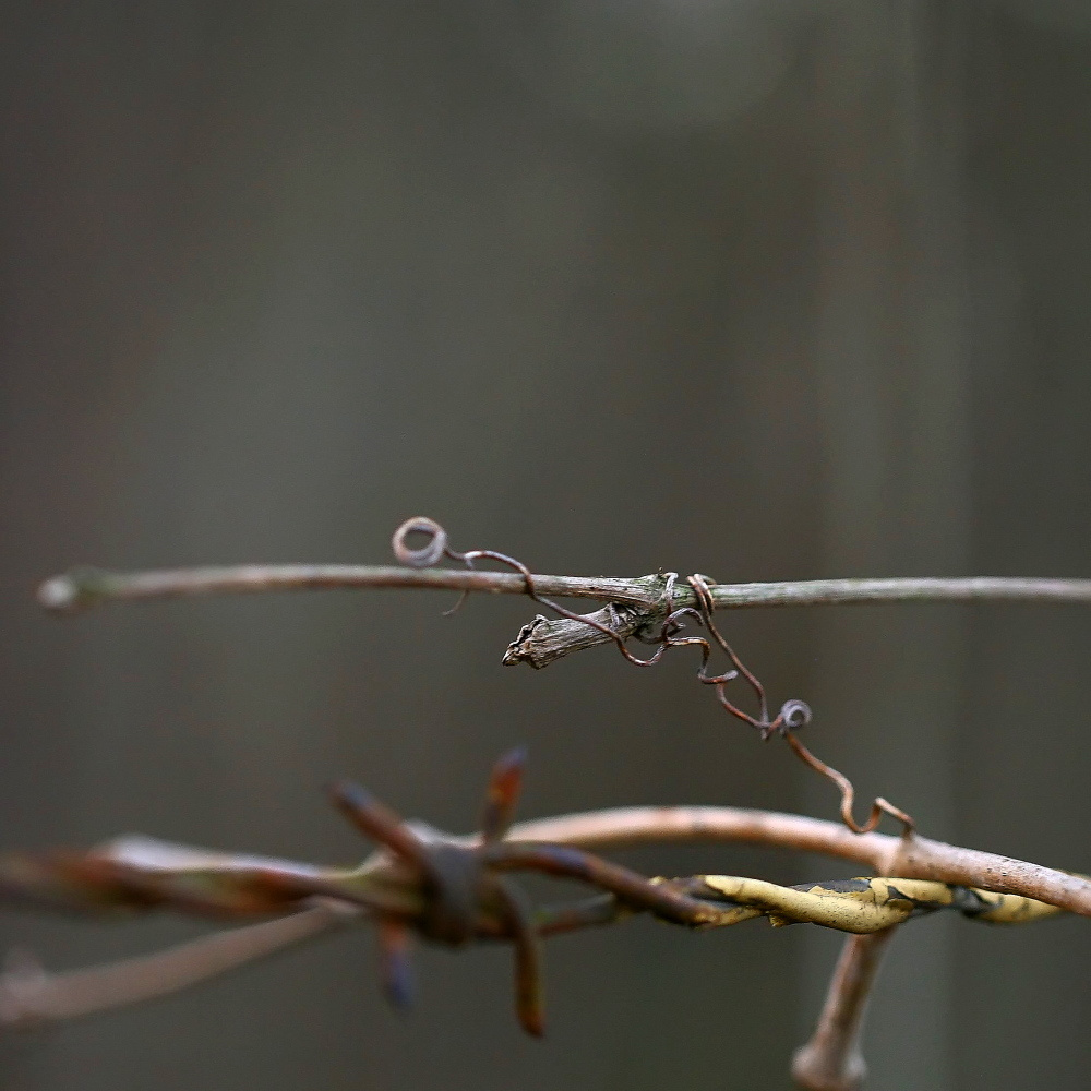 jak chcesz, to uciekniesz...