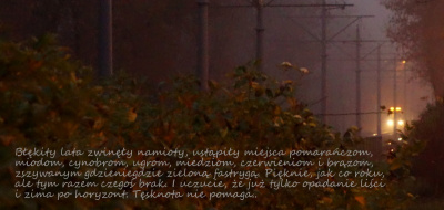 nastał klimat..