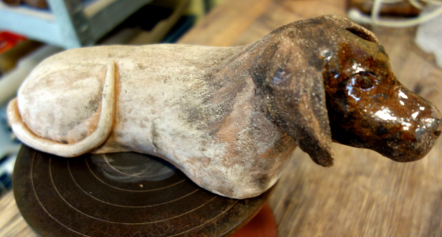 niewykluczone, że to wyżeł..