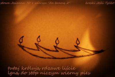 tańczą na wietrze