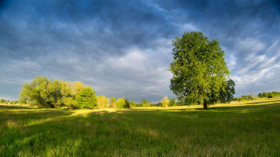 nad Odrą