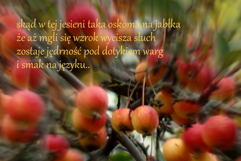 myśli apetyczne  (1)