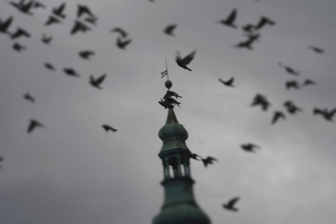 Zamość 24.12.2020