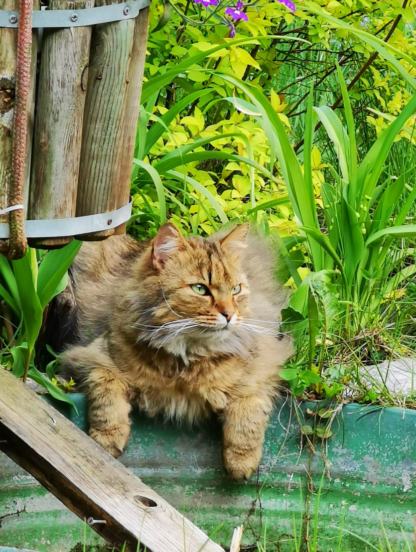 Tak sobie tu poleżę