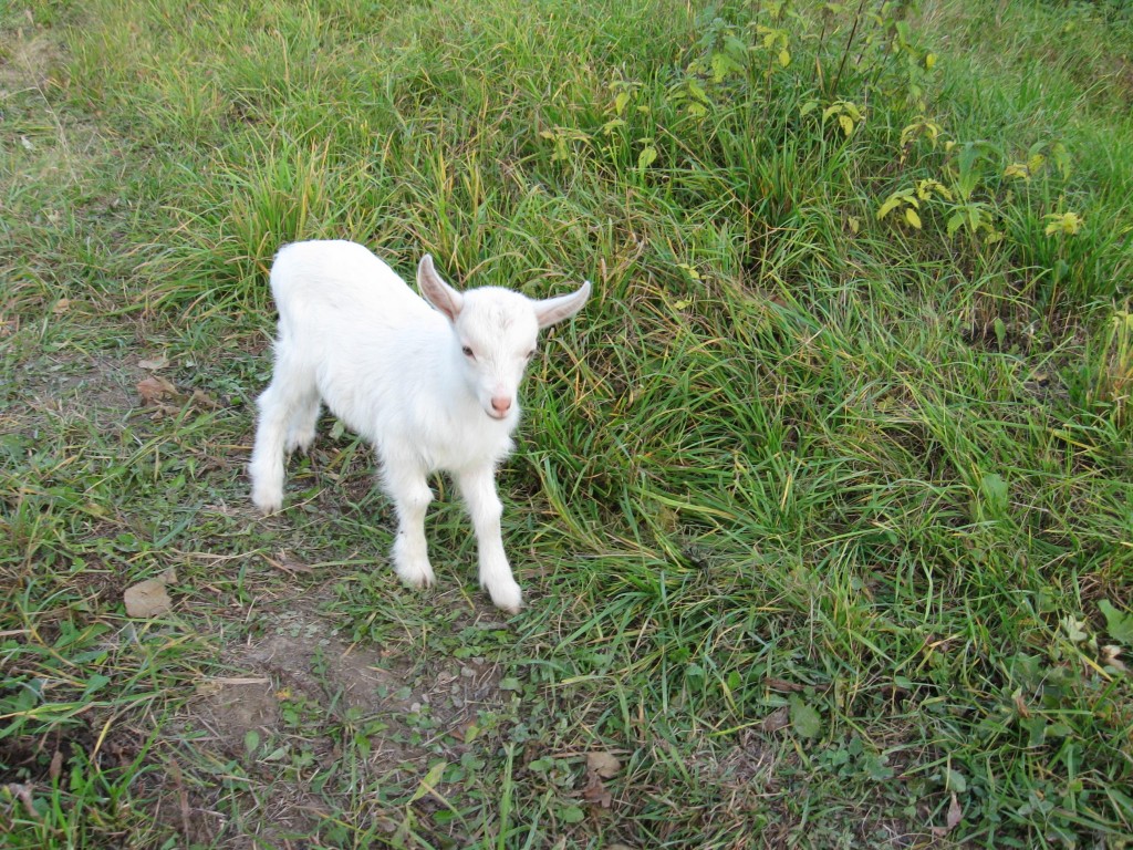 Dziecko moze cuc podrosnac ale nie zestarzec