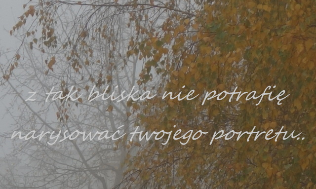 w kręgu ramion