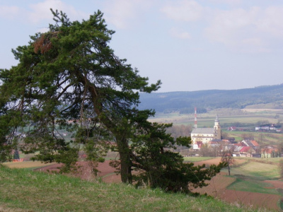 Widok na Chełmsko Śląskie