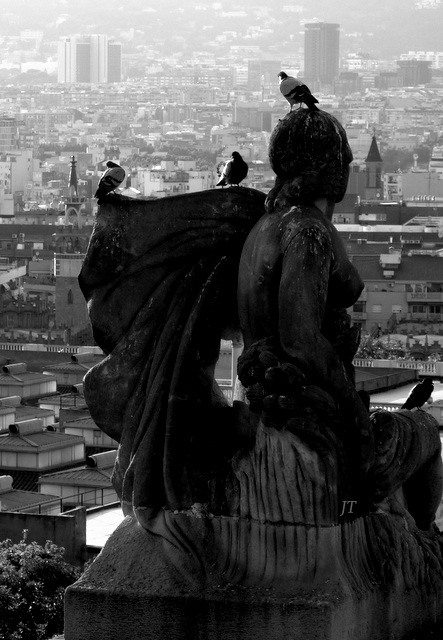 spojrzenie na miasto