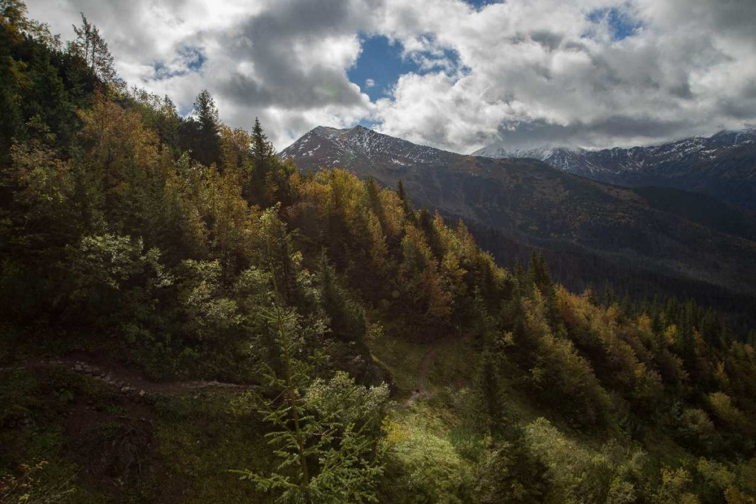 Z jesiennych wędrówek.