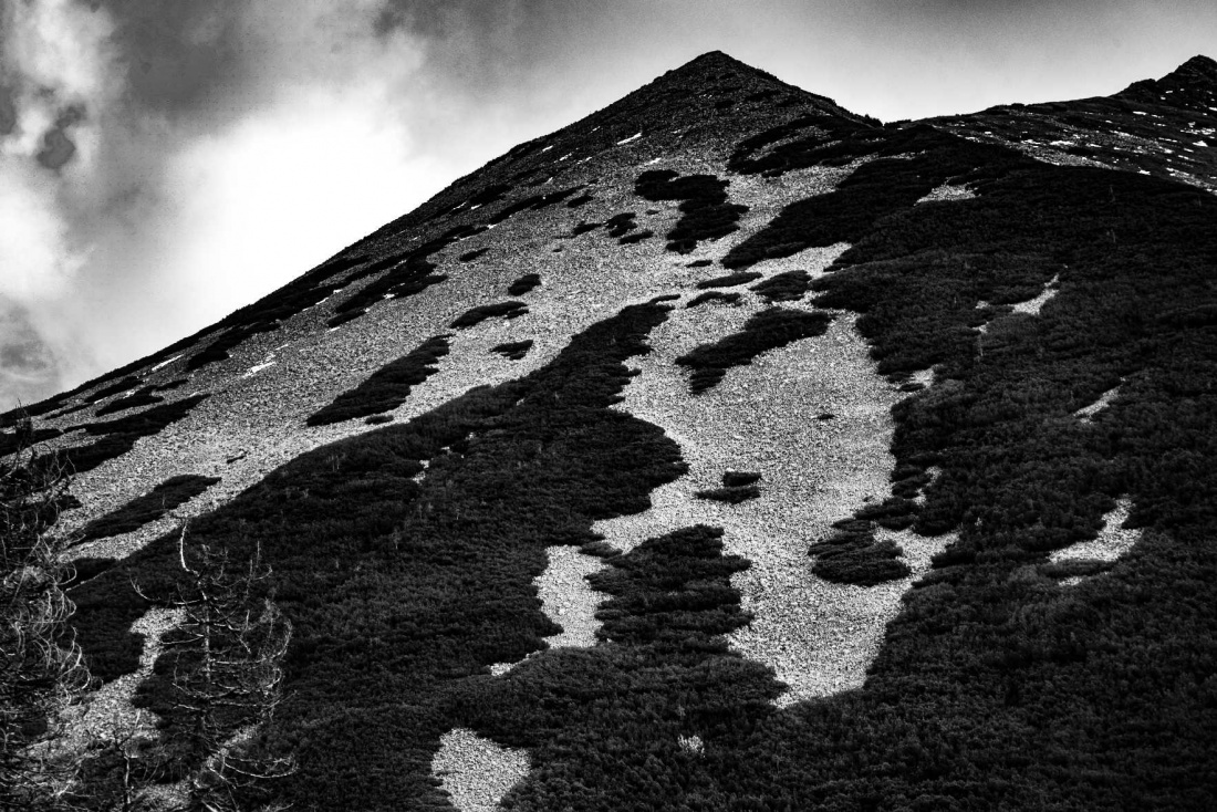 Ostrość popołudniowa