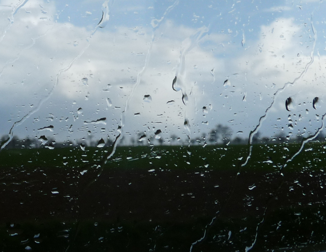 W życiu nie chodzi o to, żeby przekrzyczeć burzę, ale o to, by nauczyć się tańczyć w deszczu. /Louise O'Neill/