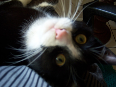 A leżę sobie. Bo co?