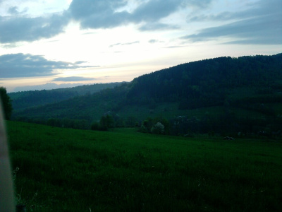 osaczona zielenią