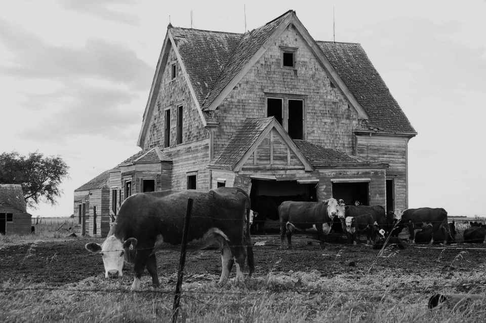 Somewhere in South Dakota