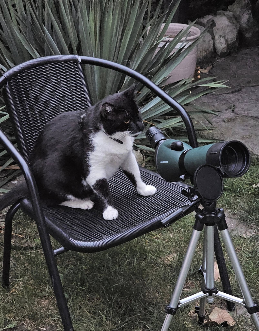 Jestem w pełni przygotowany do oglądania pełni