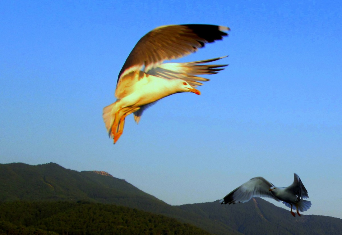 W słońcu i w cieniu