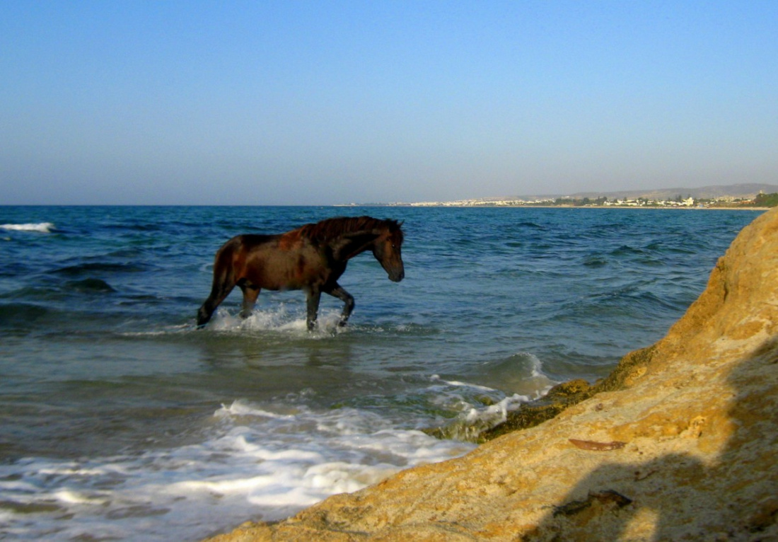 Popołudniowa kąpiel
