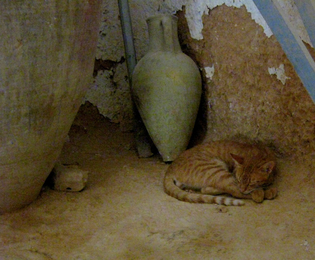 Rudzielec wkomponowany