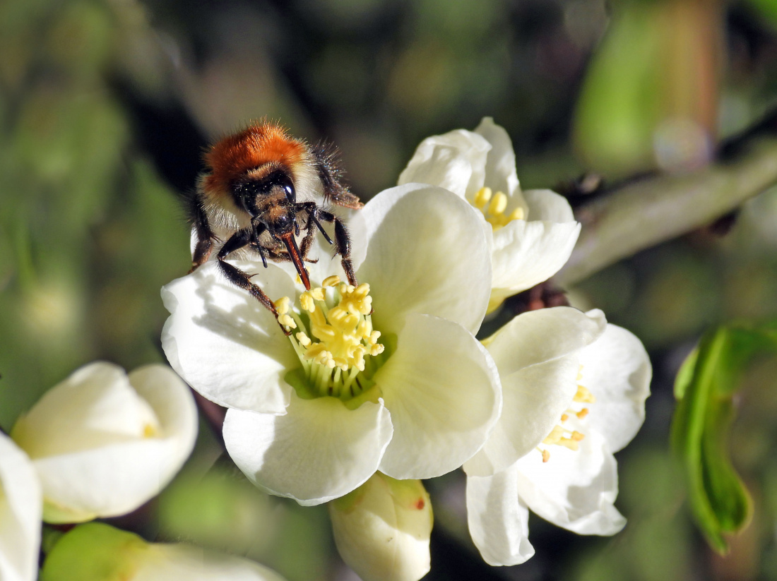 Niebezpieczne związki