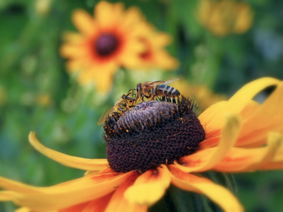 Spotkanie na szczycie
