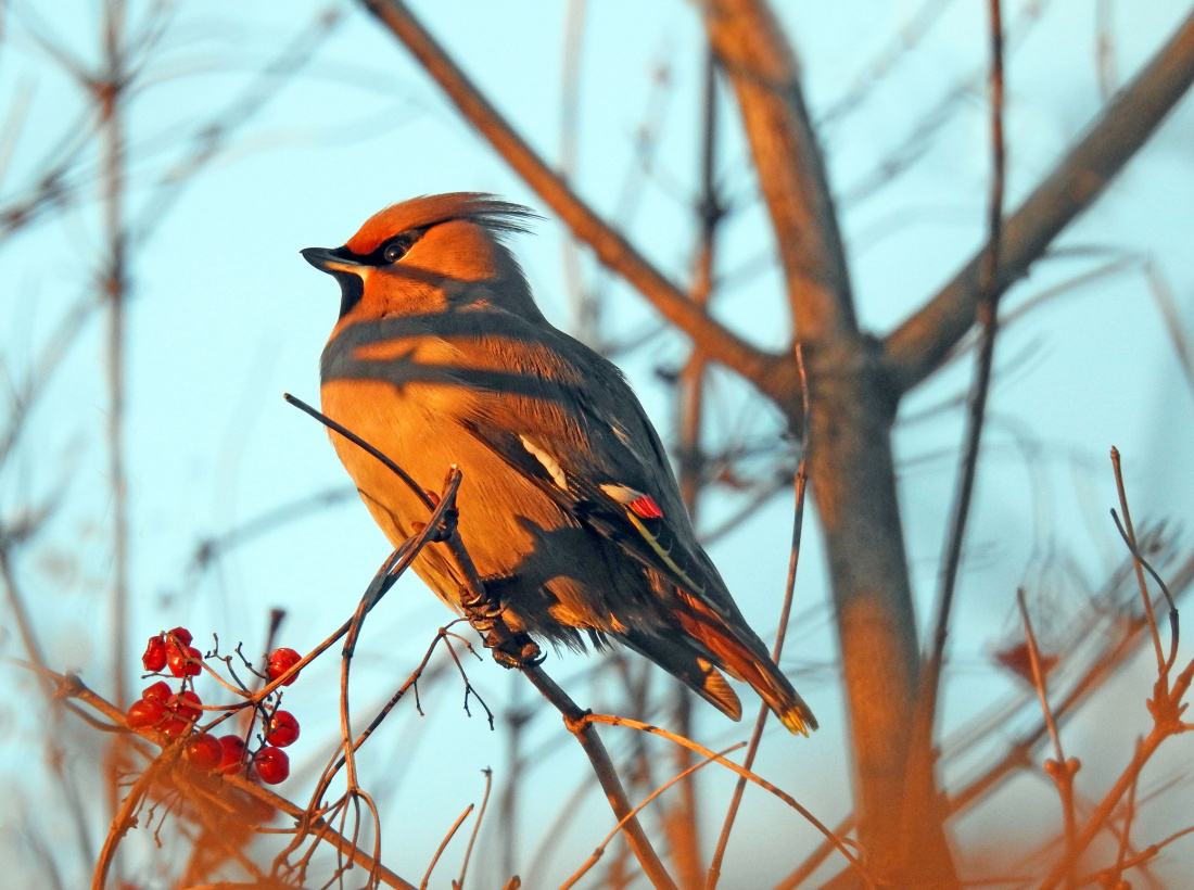 U schyłku zimnego dnia