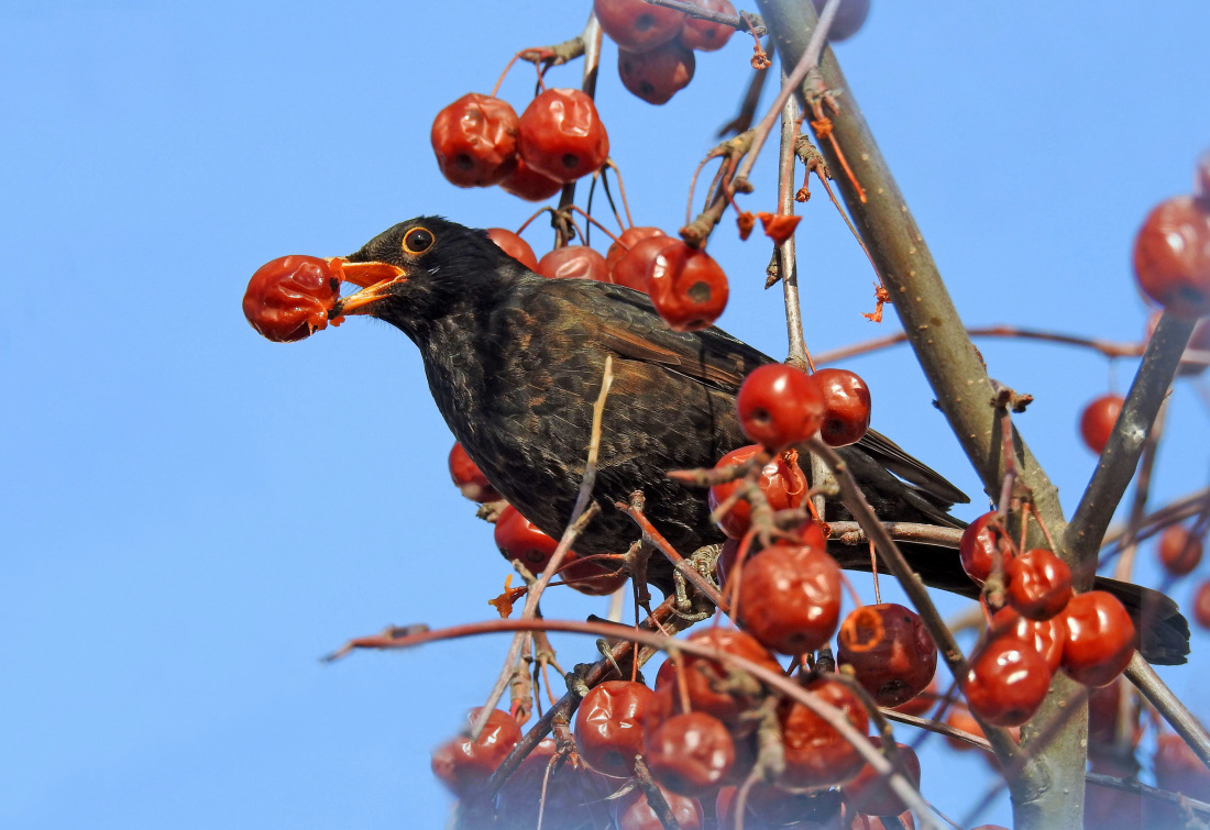 Można się zadurzyć i odurzyć